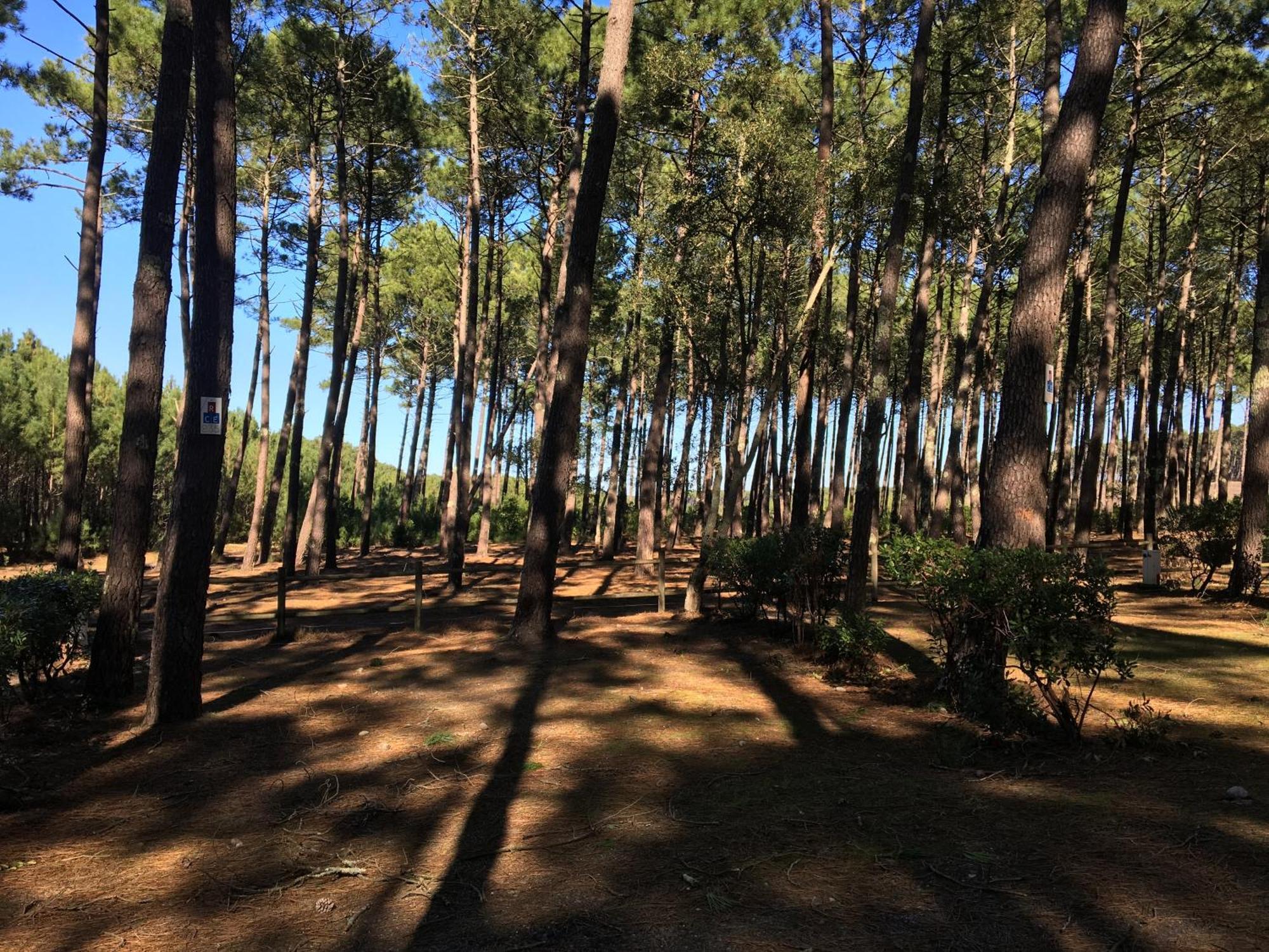 La Bergerie Des Landes Villa Lit-et-Mixe Exterior foto